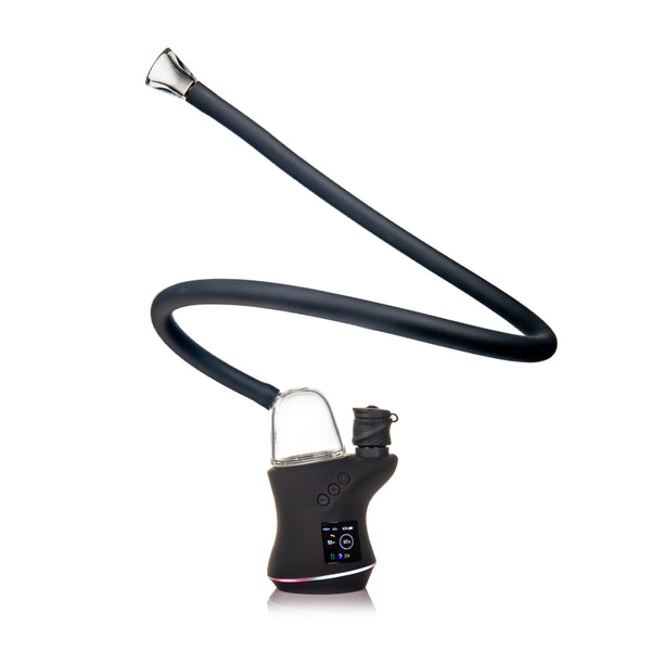 Bridge (Carta Attachment)