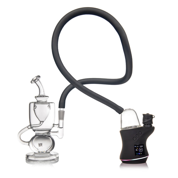 Bridge (Carta Attachment)