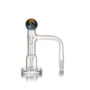 Gale Terp Feeder