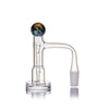 Gale Terp Feeder