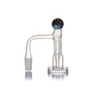 Gale Terp Feeder