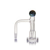 Gale Terp Feeder