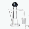 Gale Terp Feeder