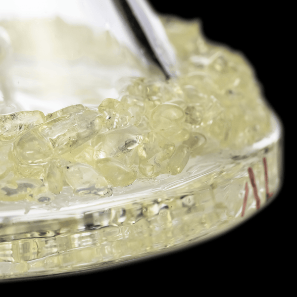 Scorpio Gemini Mini Dab Rig- MJA x Alchemy Charm MJ Arsenal 